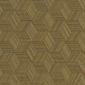 W06 50513