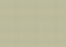 Оливковые обои для стен Rasch Novella 983562