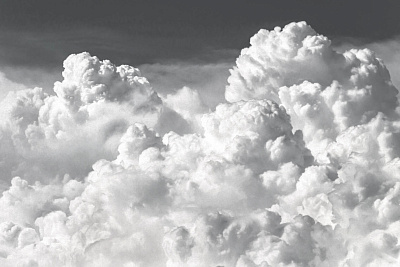 Фотообои Euphoria-2019: 13, EUPHORIA-2019, Wall street Фотообои Euphoria-2019: 13, EUPHORIA-2019, Wall street