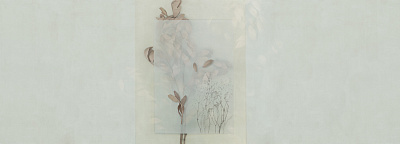 Фотообои EVIGILATIO 4, FLORA, Factura Фотообои EVIGILATIO 4, FLORA, Factura